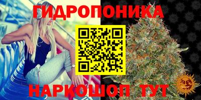 винт Будённовск