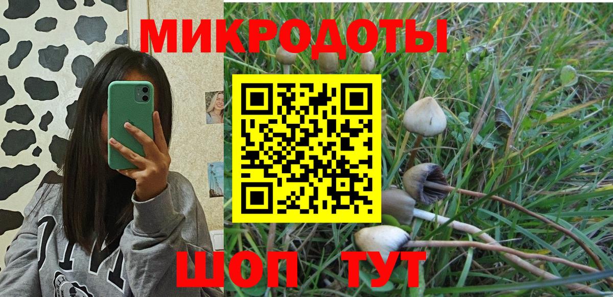 как найти закладки  Вход с VPN  Заинск  Галлюциногенные грибы прущие грибы 